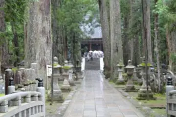 <p>Inside Okunoin</p>