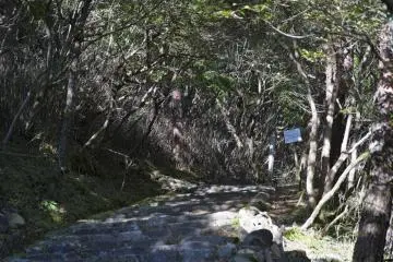 이른 하이킹