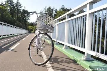 Rent a bike and cycle around the purpose-built bikepaths