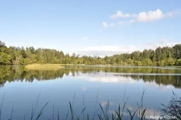 Himenuma (Princess Pond)