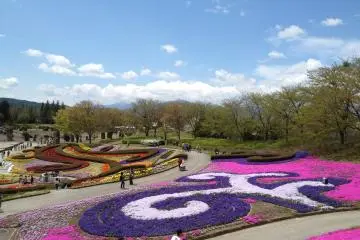 Beautiful flowers near the main entrance of the park.