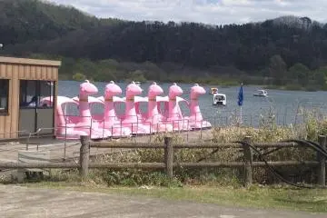 You can rent a boat and take it out on the water.