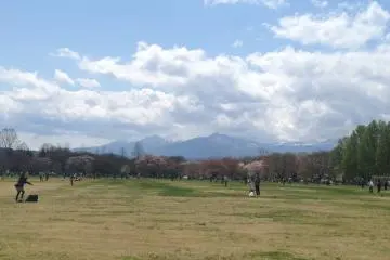 Open field for picnics, games, and playing.