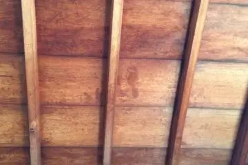 <p>Bloodstained footprints on the ceiling</p>