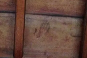 <p>A hard-to-find bloodstained handprint on the ceiling</p>