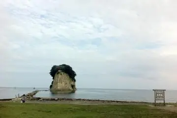 Gallery image