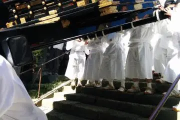 <p>Movement is all by feet.&nbsp;</p>