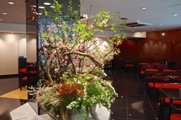 <p>Inside Toraya, Akasaka</p>