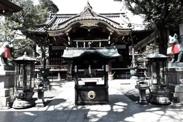 Gallery image