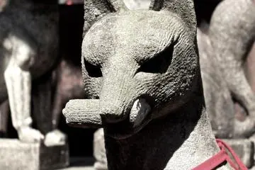 <p>This fox is holding a sacred scroll in its mouth</p>