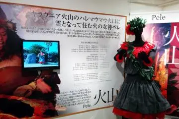 <p>Several displays like this inform guests about a specific hula dance, its tradition, history, dress, and even dance movements with a video screen. u</p>