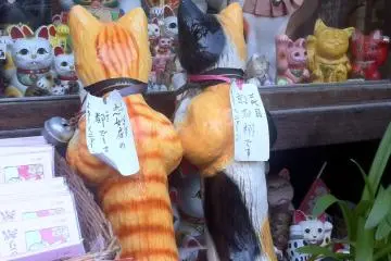 Window shopping and free sample food along Sannenzaka. Many shops in Sannenzaka give delicious food samples for visitors.