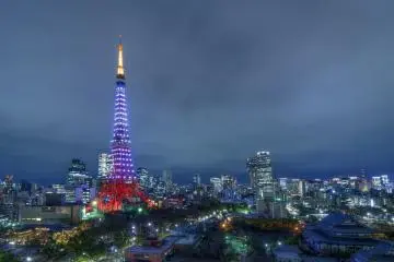 <p>What many people might not realize is that the Tokyo Tower actually has a number of displays for different occasions. Particularly on Fridays from 8pm to 10pm, the tower is covered in beautifully colored lights known as the "Diamond Veil." This display is something many may never see,&nbsp; and the view from this room is perfect for enjoying it.</p>