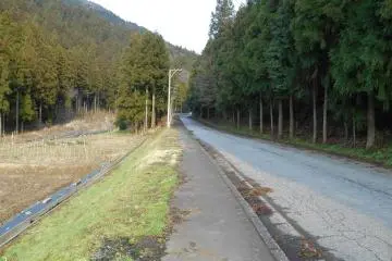 <p>The hiking trail to Kojiro Falls (Ichijo Falls). Paved sidewalk makes the walk easy</p>