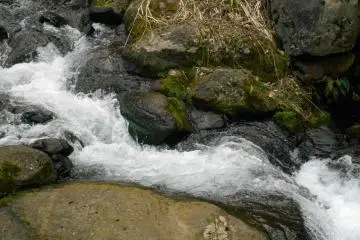<p>Stream running through Ichijo valley</p>