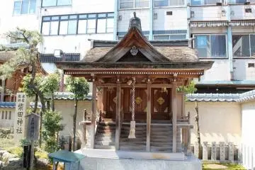 Gallery image
