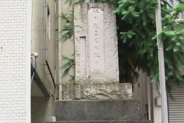 Gallery image