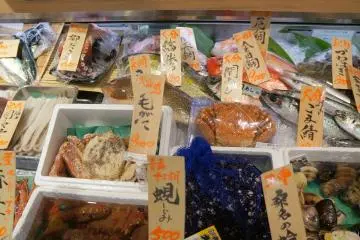 <p>Most depachika will have a seafood section. If you're a tourist walking around, perhaps you won't purchase any, but it's very interesting seeing the incredible variety of fresh seafood</p>