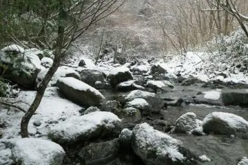 snow covered trail