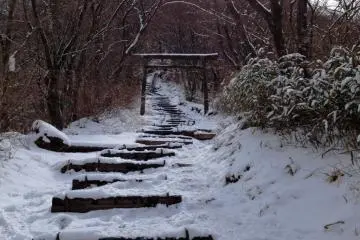 Torii (鳥居)