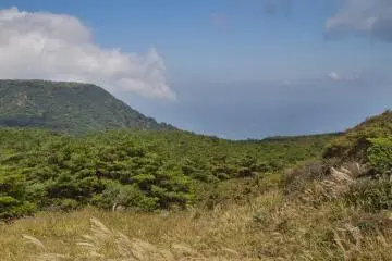 <p>ดูในด้านทุ่งหญ้าเขียวชอุ่มของภูเขาไอโอผ่านต้นสนไปที่ภูเขา Koshiki ซึ่งมียอดเขาราบเรียบ</p>