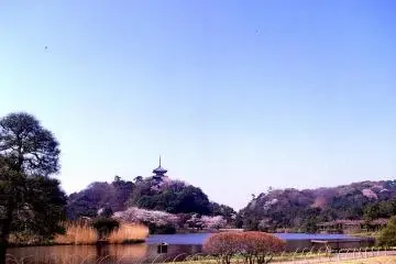 <p>สวนกว้างแห่งนี้น่าเดินเล่นมาก</p>