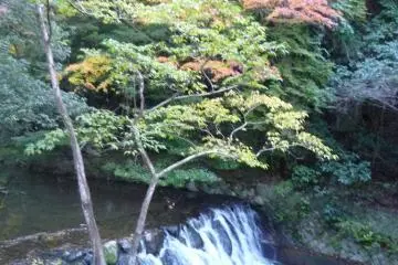 Stream along the walking trail