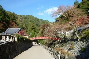 Bridge by Ryuanji Temple