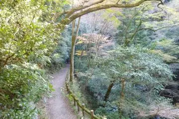 Takimichi trail