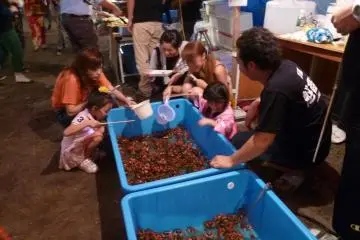 Game of "fishing" for crab- Kani Sukui
