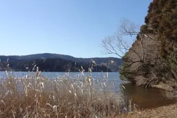 Walking along the west edge of the peninsula, you can see Ashinoko Lake on the left, you will sometimes find deep blue water between the woods, and Mt. Fuji shows her head over the closer mountains.