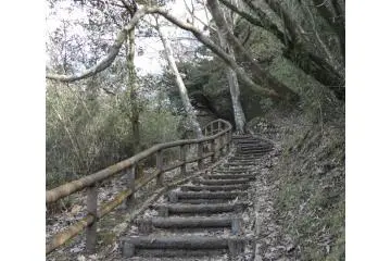 It has many ups and downs but the view from the path is quite nice.