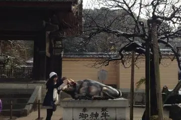 <p>เทพเจ้าวัวที่่คนจะมาลูบห้วลูบตัวเพื่อขอพร</p>