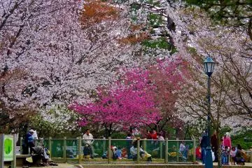 <p>Kids' playground</p>