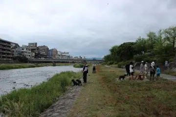 The bank near the Gojo and Shijo areas of Kyoto. You can see many locals enjoying a stroll along the river bank.