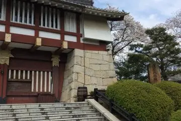 伏見桃山城賞櫻之旅