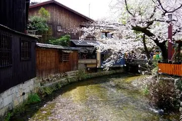 <p>Shirakawa Stream</p>