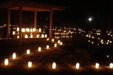 lights around the pond dedicated to breast milk weening mothers