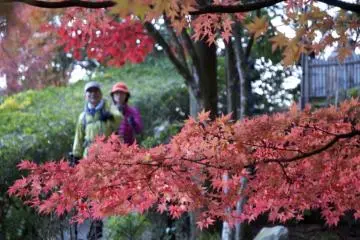 Mitaki Temple