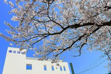 This cherry blossom tree adds drama to the entrance of this building's compound. (Photo: Tyra 'nell Pille)