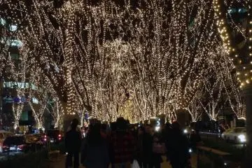 Pagaent of Starlight on Jozenji dori (avenue)