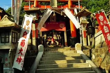 Gallery image
