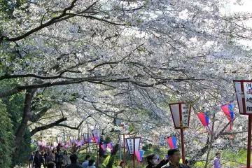 At 160,000 square meters, Mobara Park has plenty of walking paths to admire
