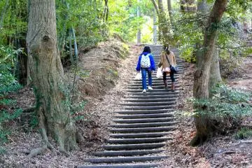 The hiking trail at Mobara Park allows for some good exercise during your stay&nbsp;