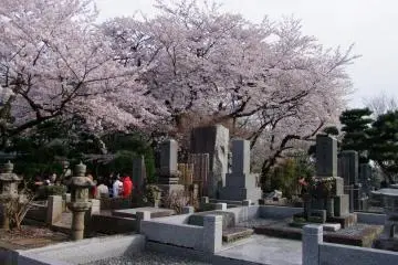 <p>Located in Kawasaki, Kanagawa</p>