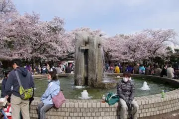 <p>It almost looks like a dream</p>