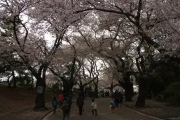 <p>Enjoying a beautiful weekend</p>