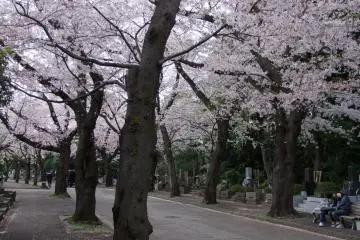 <p>A beautiful, lonely road</p>