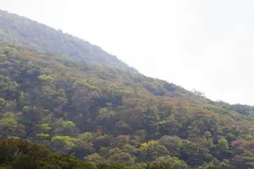 The forested base of Mt. Karakuni in early autumn