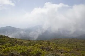 <p>I've always felt there was something special about standing in the clouds; on clear days you can see Sakurajima, Kagoshima's most famous volcano</p>